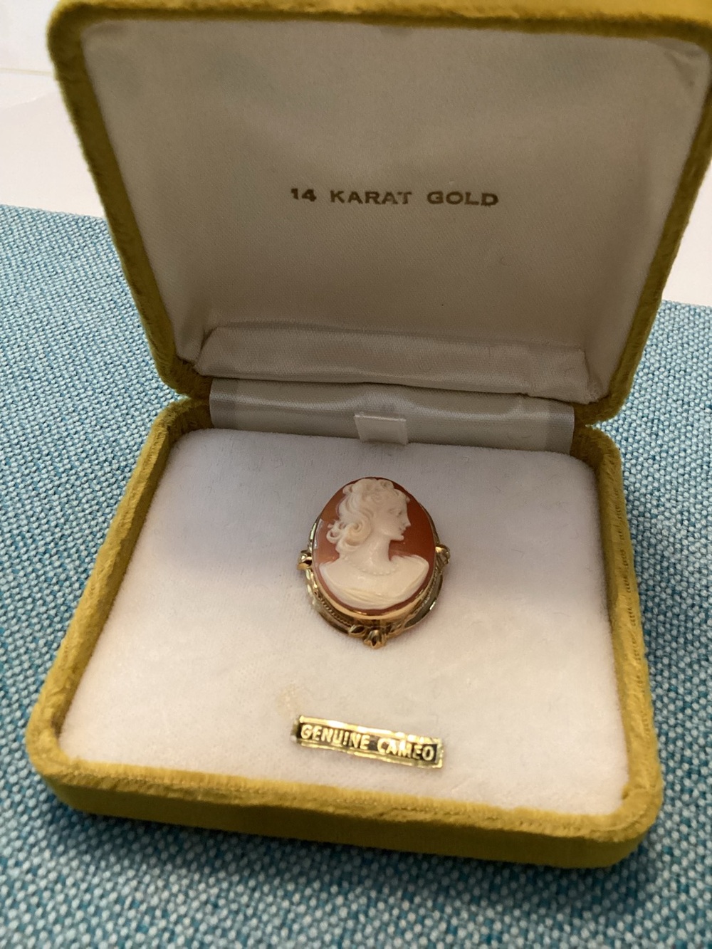 Vintage 14 karat gold cameo pendant/broach